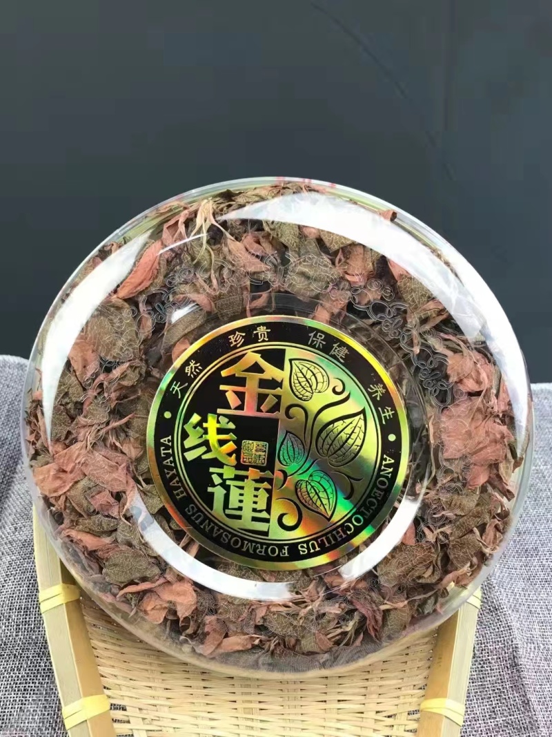 精品金线莲货源充足量大从优质量保证欢迎咨询