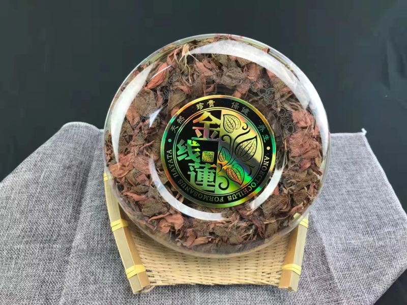 精品金线莲货源充足量大从优质量保证欢迎咨询