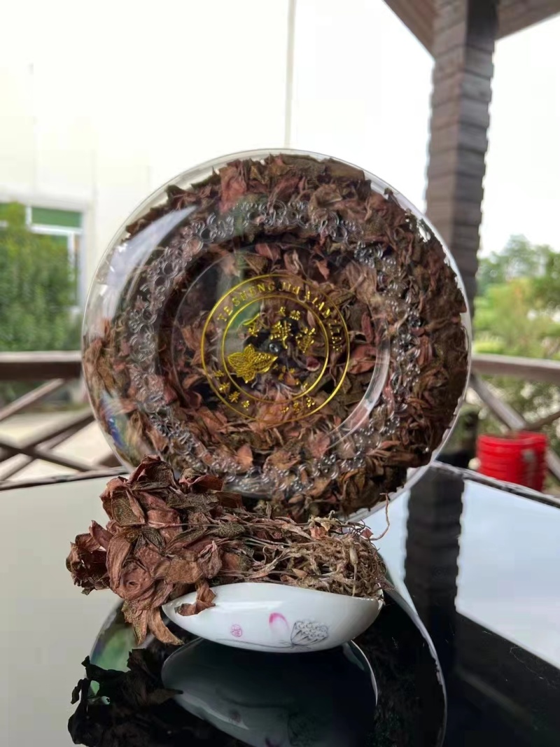 精品金线莲货源充足量大从优质量保证欢迎咨询