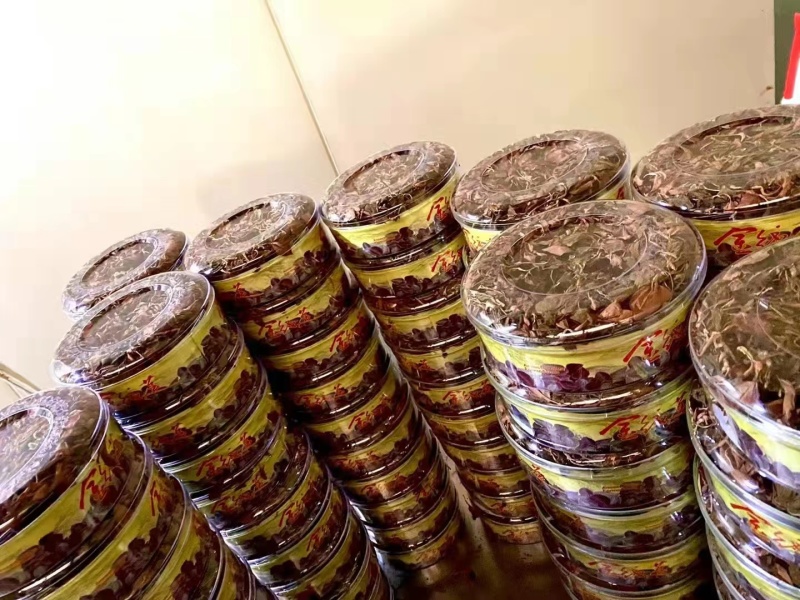 精品金线莲货源充足量大从优质量保证欢迎咨询