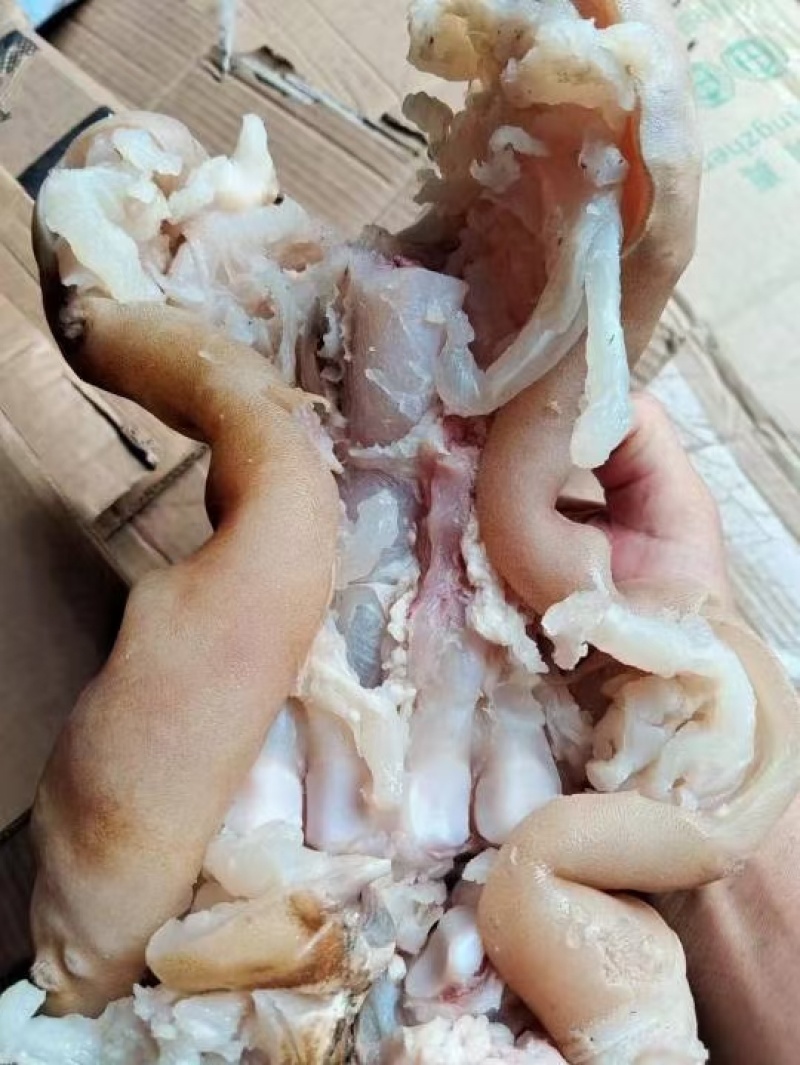 熟牛蹄，全熟去骨熟牛蹄，真空包装！带主筋，凉调，爆炒均可