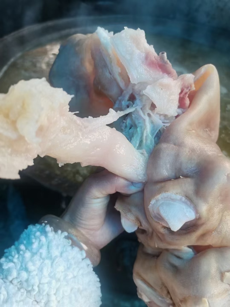 熟牛蹄，全熟去骨熟牛蹄，真空包装！带主筋，凉调，爆炒均可