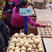 陕西蒲城酥梨大量现货，皮薄多汁，价格美丽，欢迎的