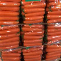 胡萝卜三红胡萝卜水洗加工代收代发全国发货规格齐全