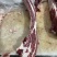 国产纯干满肉牛肋排锯段满满多肉厂家直销