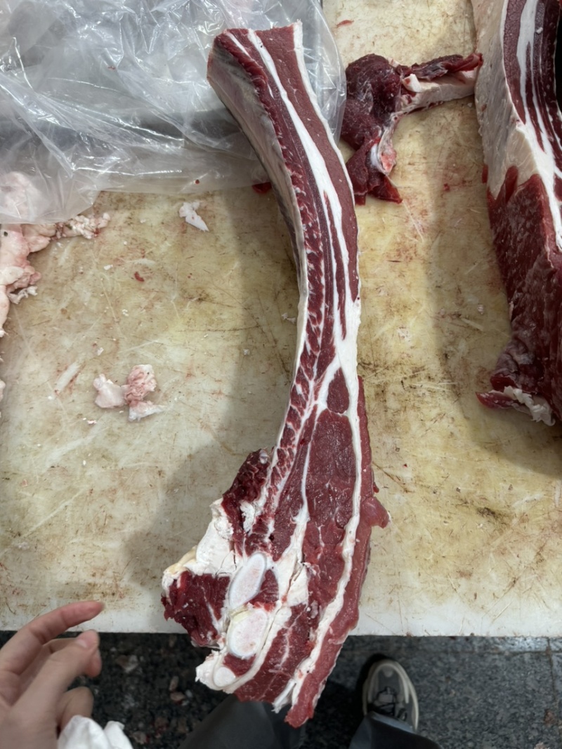 国产纯干满肉牛肋排锯段满满多肉厂家直销