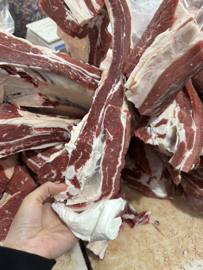 国产纯干满肉牛肋排锯段满满多肉厂家直销