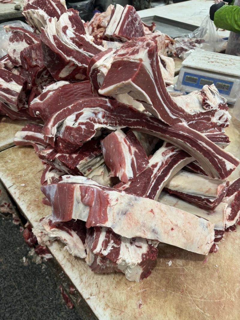 国产纯干满肉牛肋排锯段满满多肉厂家直销