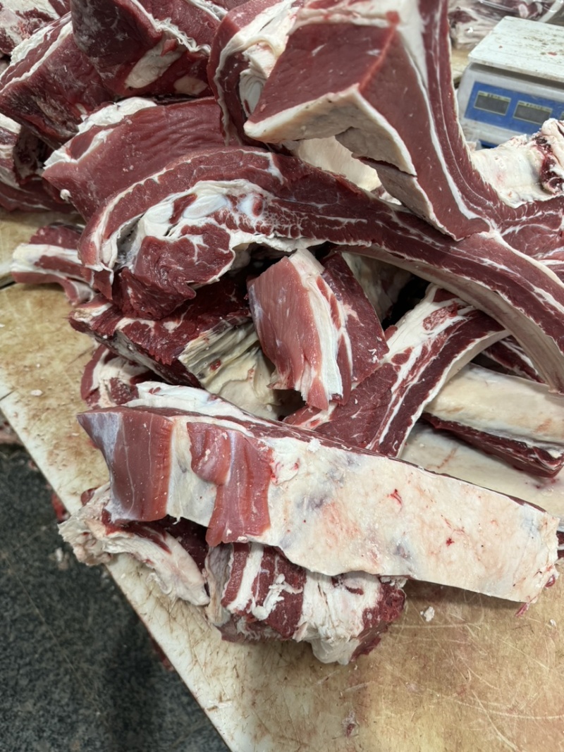 国产纯干满肉牛肋排锯段满满多肉厂家直销