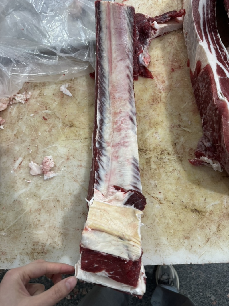 国产纯干满肉牛肋排锯段满满多肉厂家直销