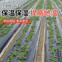 除草黑色地膜农用种植果园蔬菜防草种菜黑地膜