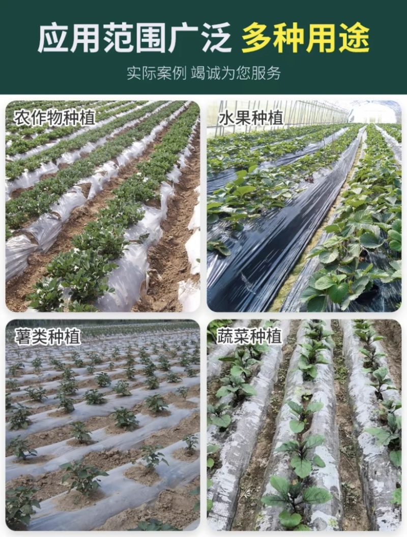 除草黑色地膜农用种植果园蔬菜防草种菜黑地膜