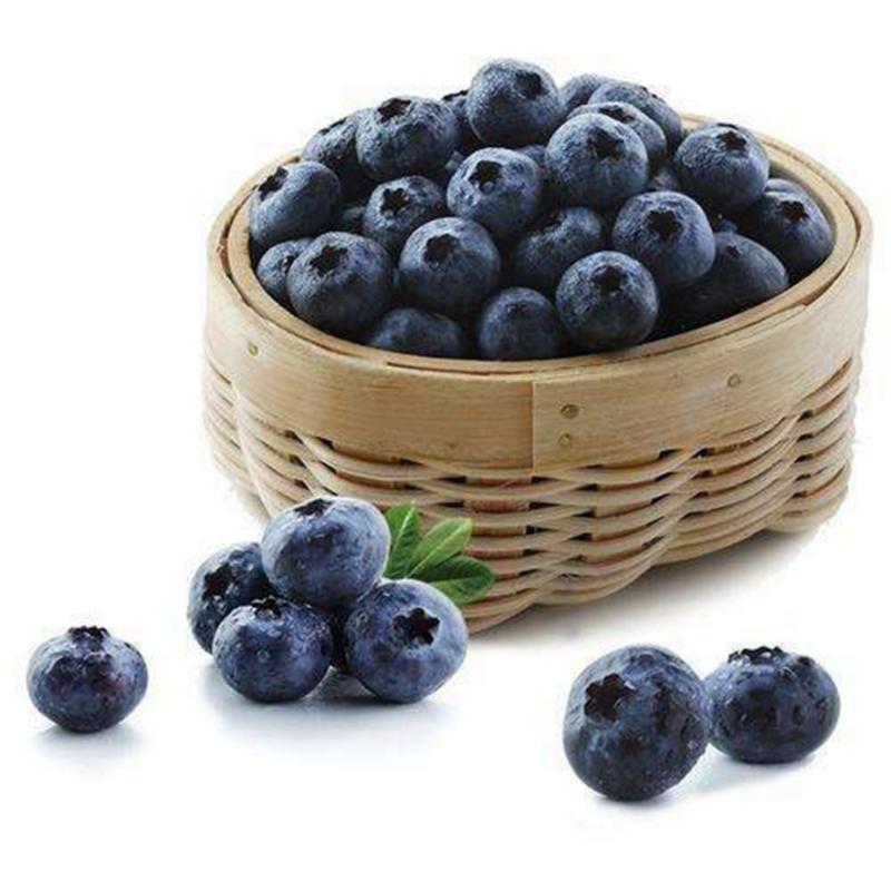 【精品】丹东莱克西蓝莓供应产地直发现摘现发量大从优