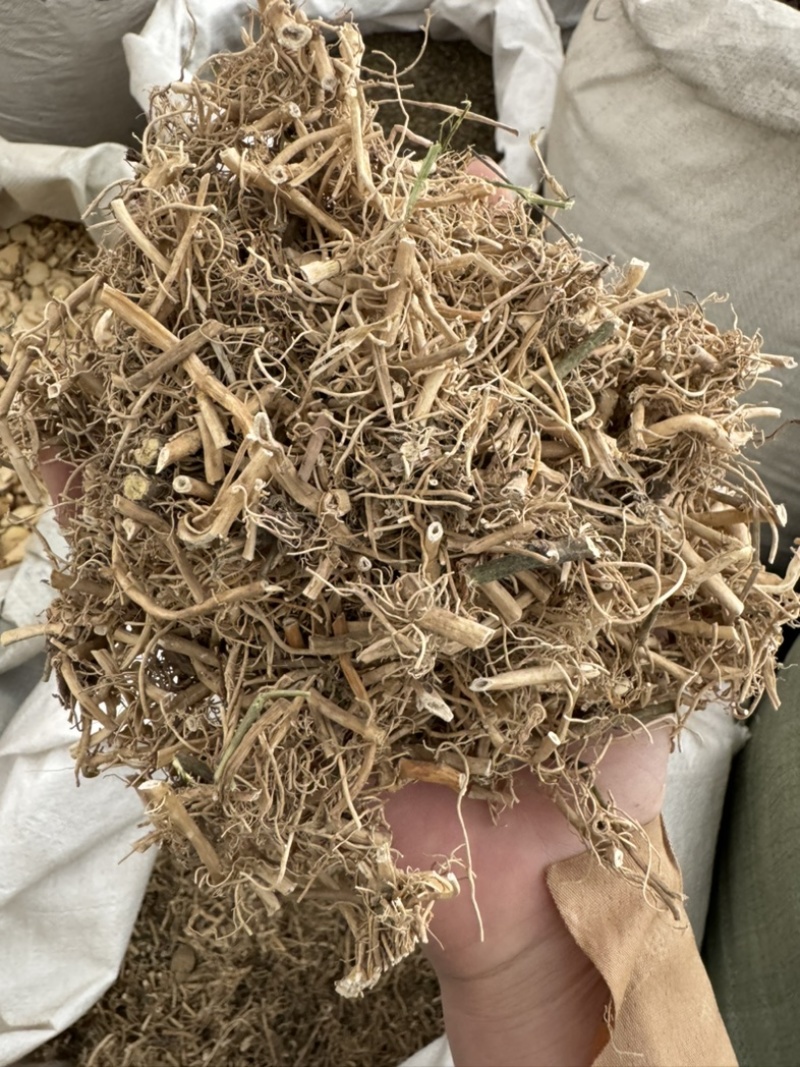 白前白前草水杨柳保庆药业干净货无杂质白前