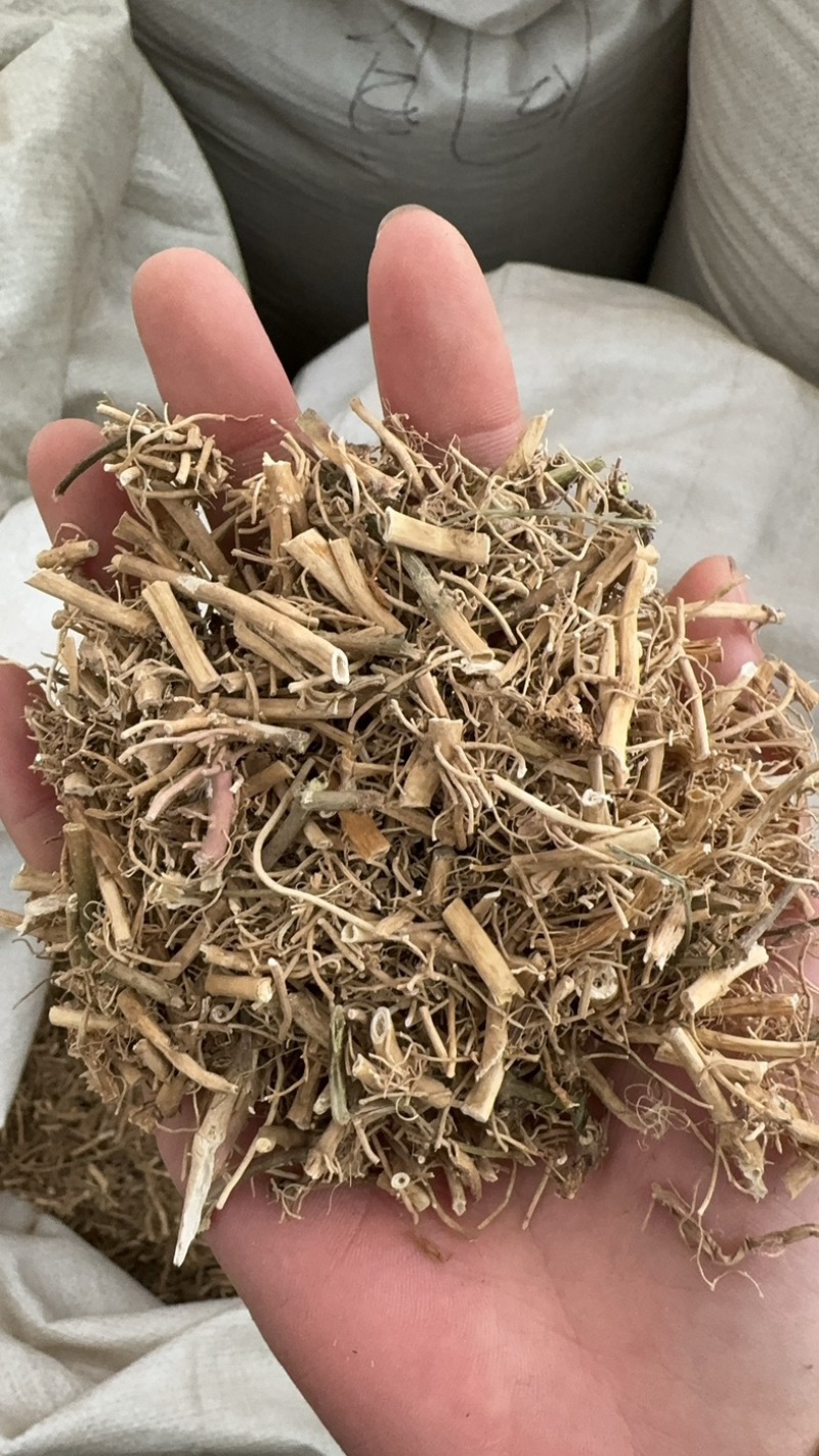 白前白前草水杨柳保庆药业干净货无杂质白前