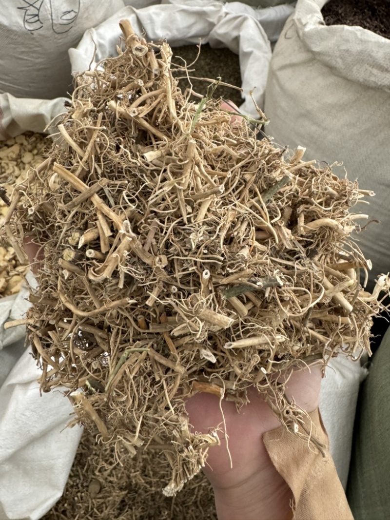 白前白前草水杨柳保庆药业干净货无杂质白前