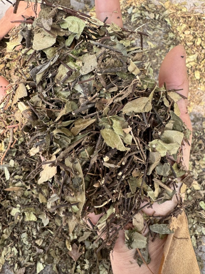络石藤统货发货前过筛络石草保庆药业