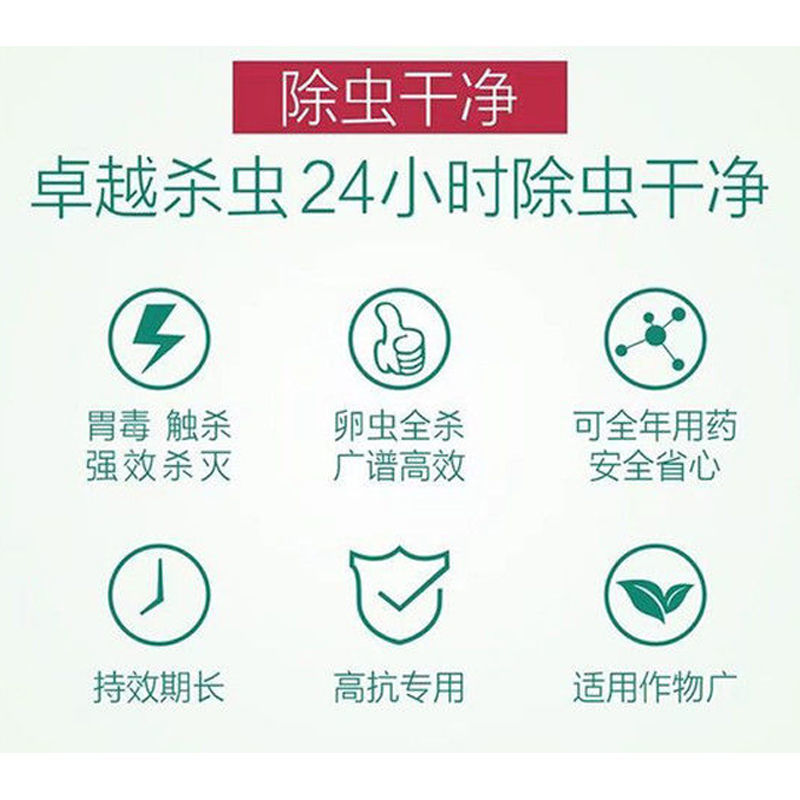 噻虫胺48%高含量水稻稻飞虱噻虫安咹地蛆韭蛆地老虎杀虫药