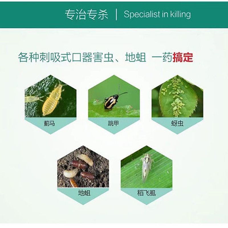 噻虫胺48%高含量水稻稻飞虱噻虫安咹地蛆韭蛆地老虎杀虫药