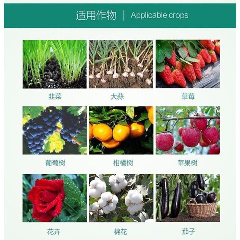噻虫胺48%高含量水稻稻飞虱噻虫安咹地蛆韭蛆地老虎杀虫药