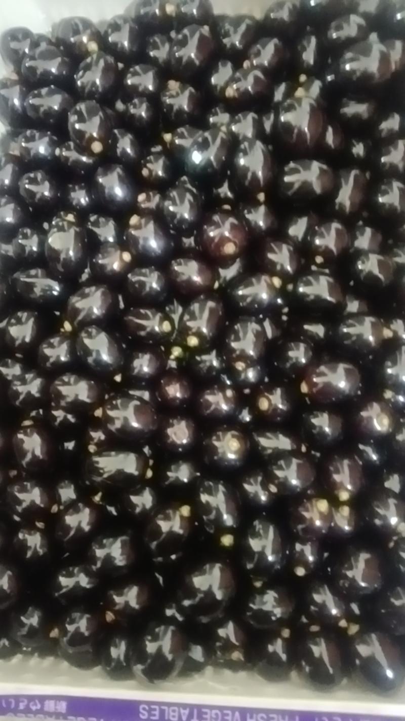 黑珍珠树葡萄