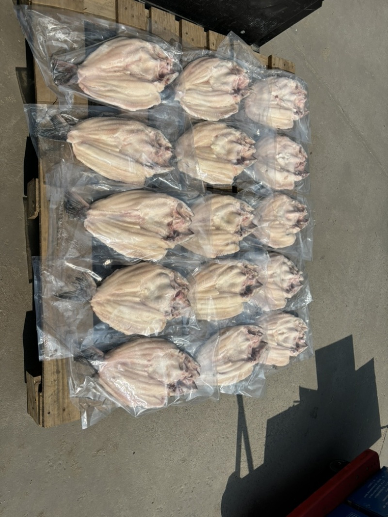 反骨腌制开背鱼，湄公鱼，烤鱼，火锅鱼，地摊烤鱼净重24斤