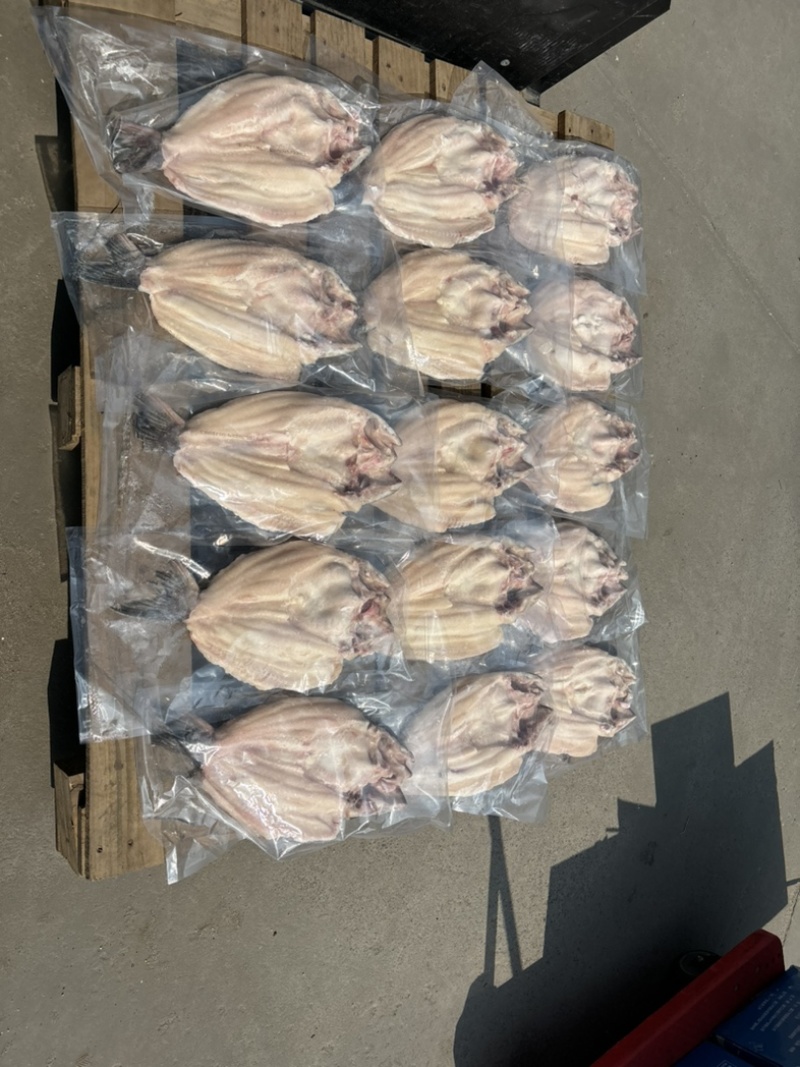 反骨腌制开背鱼，湄公鱼，烤鱼，火锅鱼，地摊烤鱼净重24斤
