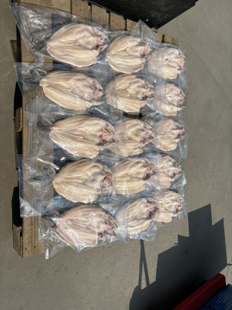 反骨腌制开背鱼，湄公鱼，烤鱼，火锅鱼，地摊烤鱼净重24斤