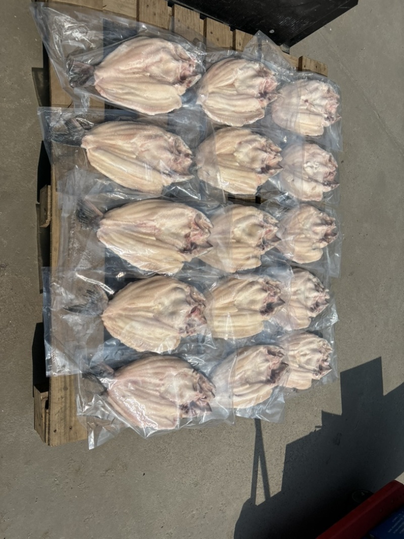 反骨腌制开背鱼，湄公鱼，烤鱼，火锅鱼，地摊烤鱼净重24斤