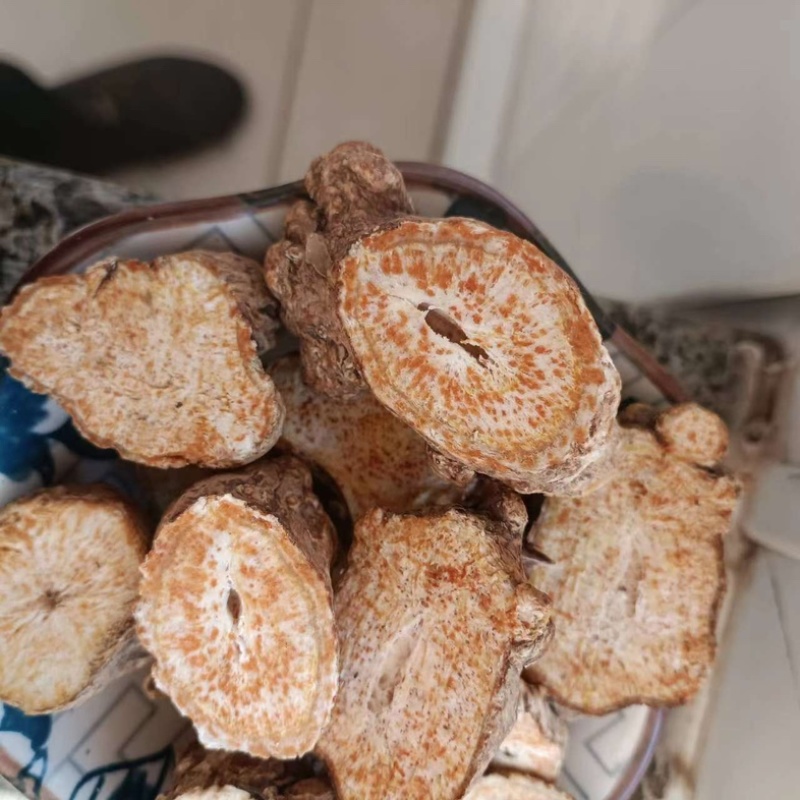 北苍术朱砂点河北承德隆化无农药化肥野生移栽