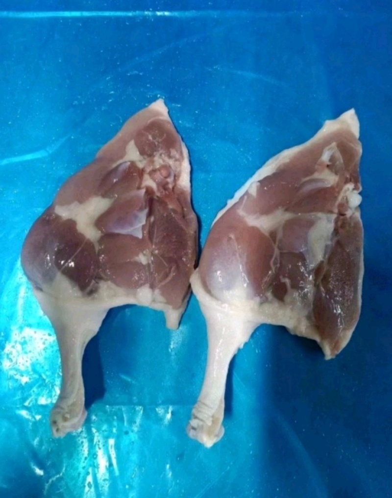 鸭腿规格齐全价格美丽欢迎咨询来电优