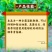 25%溴菌壬菌铜炭疽病叶斑病蔓枯病青枯病农药杀菌剂