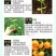 佰田择枯草芽孢杆菌水溶肥预防病害农用软腐溃疡改土微生物