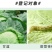 高氯甲维盐菜青虫食心虫小菜蛾卷叶虫稻纵卷叶螟棉铃虫杀虫剂