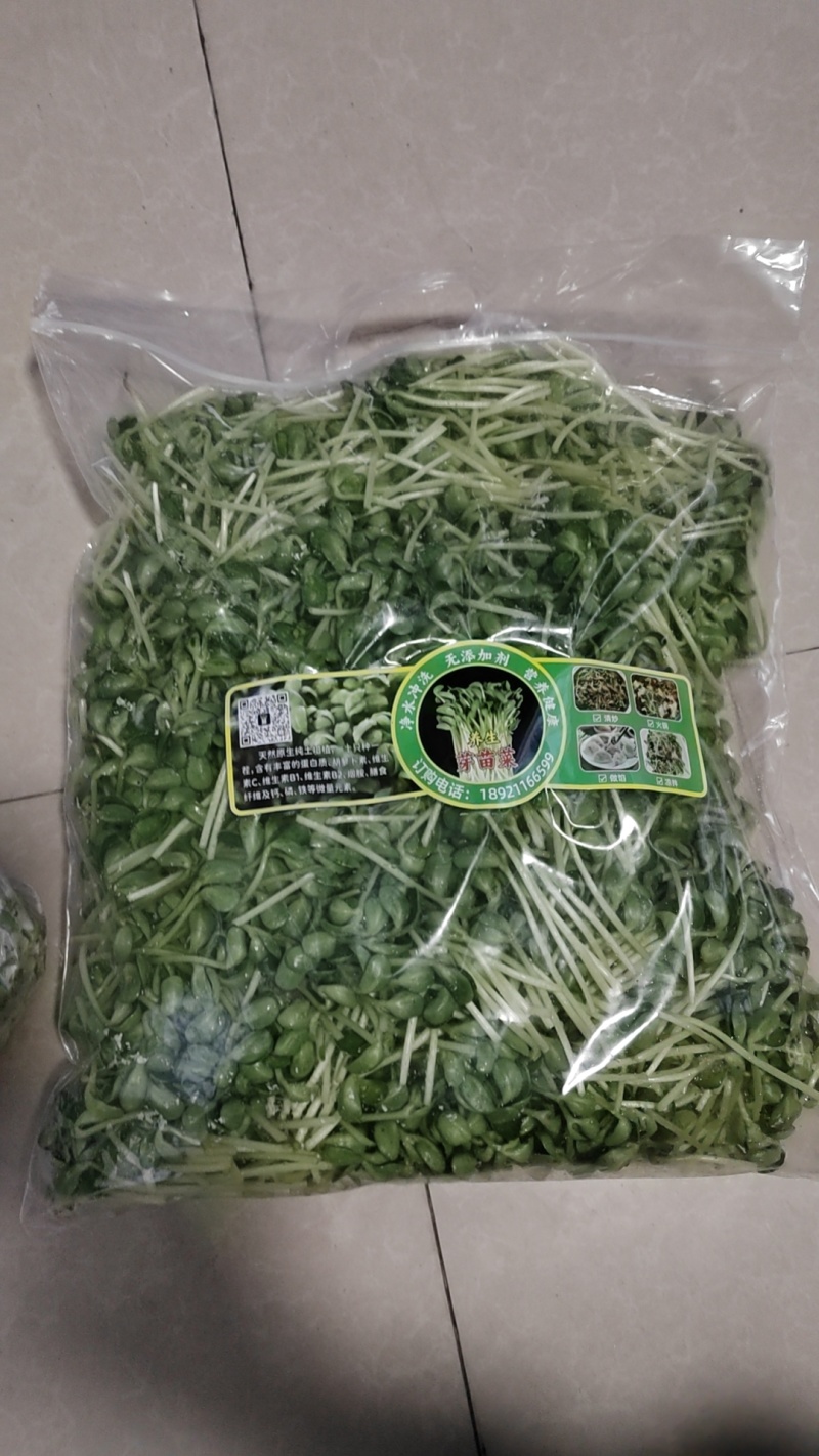 土培黄豆芽免费送样，远可寄样。