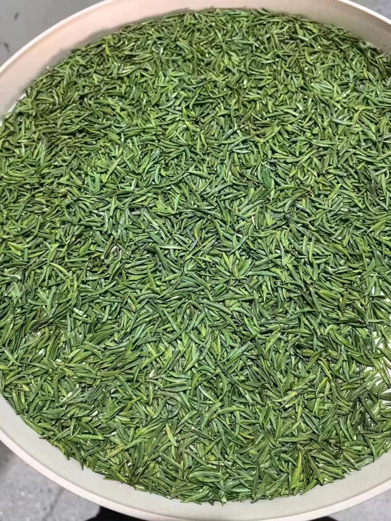 贡芽，绿茶2024年新茶量大从优欢迎采购热卖中