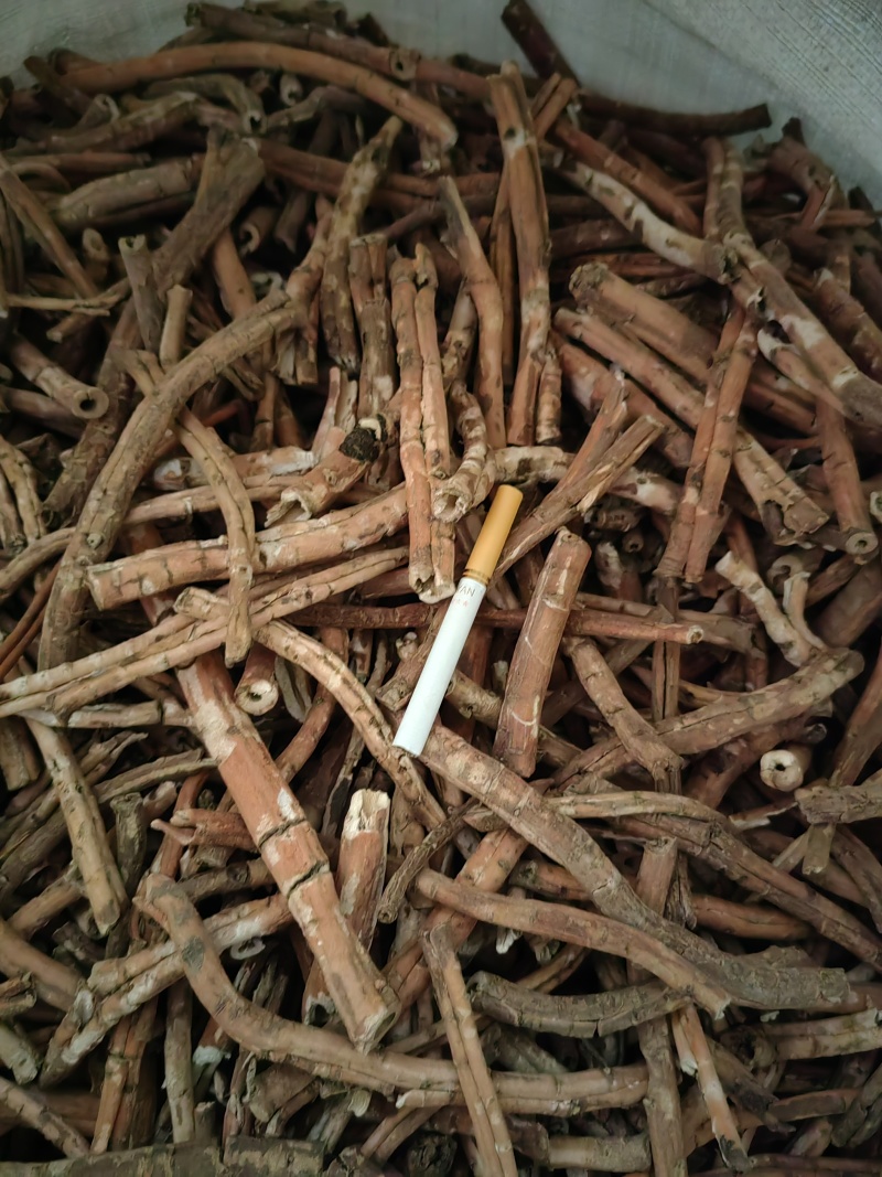 中药材牡丹皮