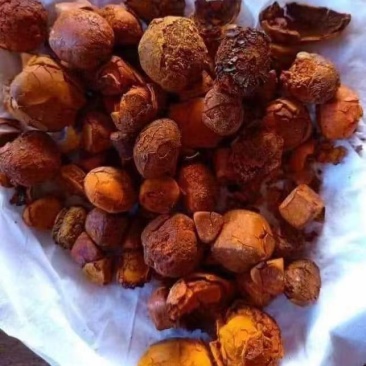 天然牛黄