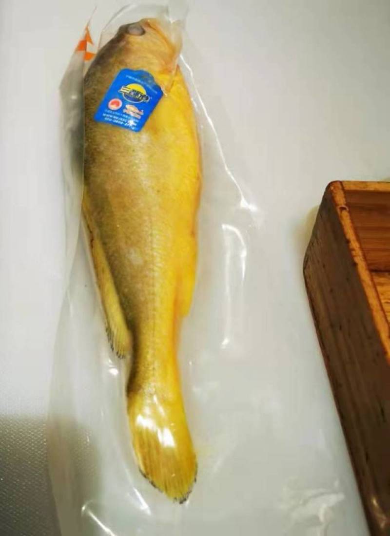 宁德黄花鱼，新鲜直供，健康美味！