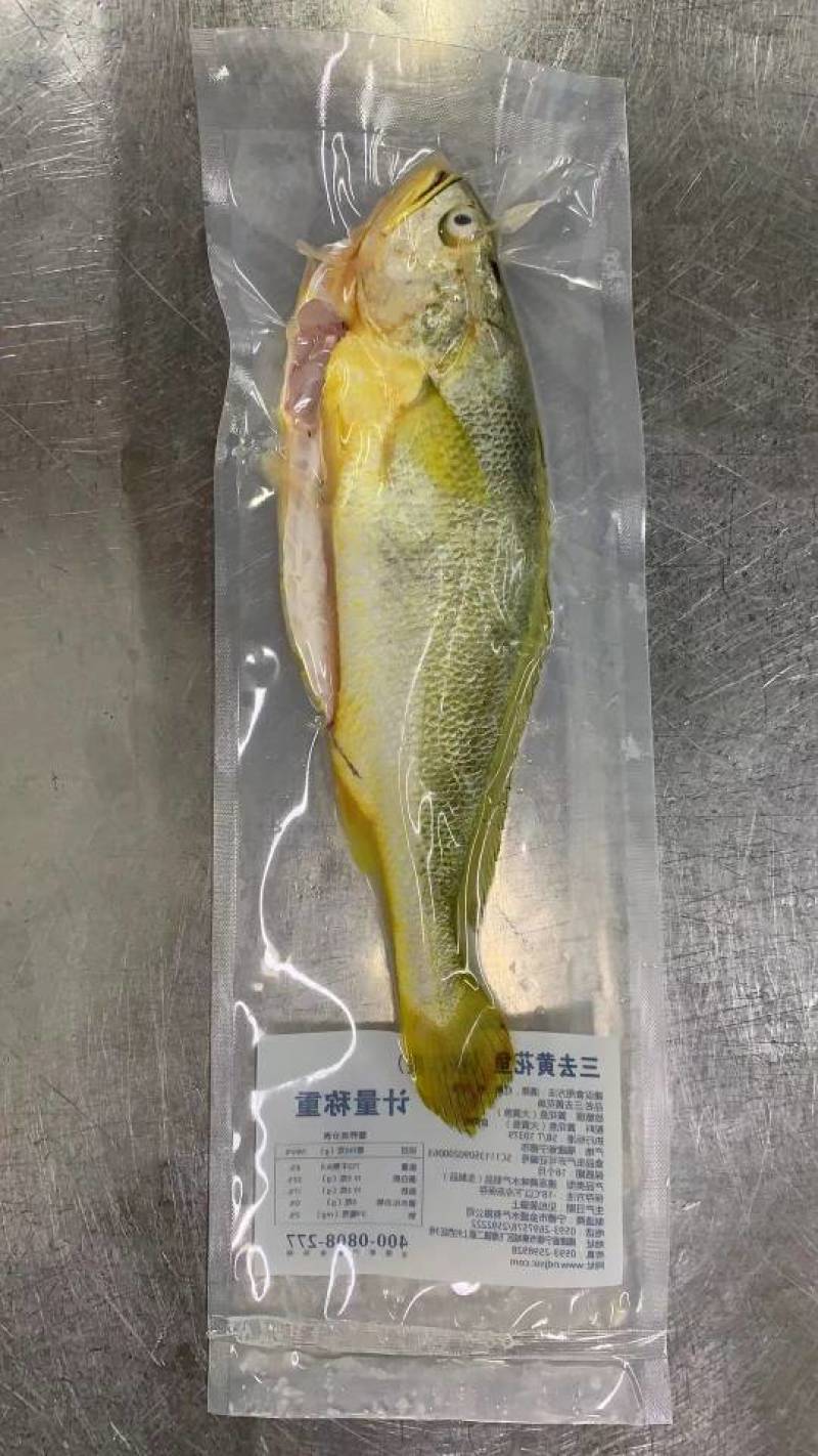宁德黄花鱼，新鲜直供，健康美味！