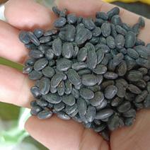 海华农产品芽黑豆