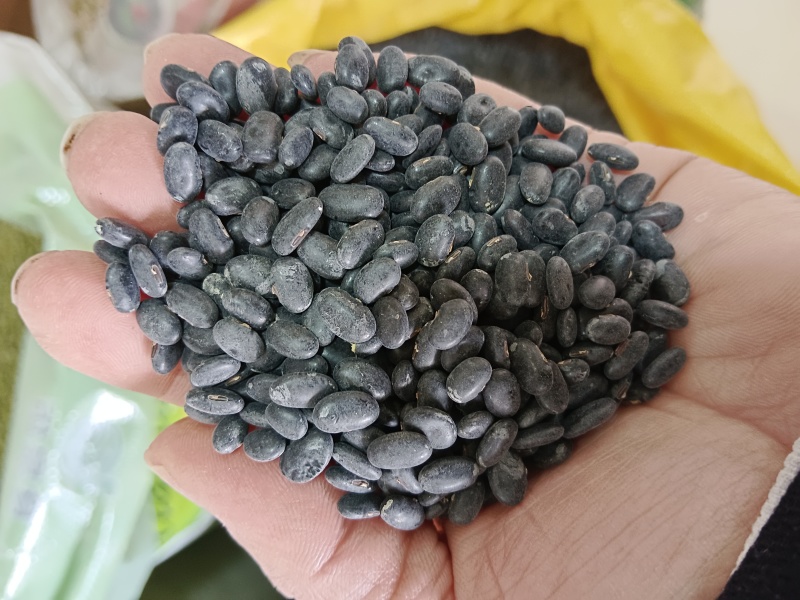 海华农产品芽黑豆