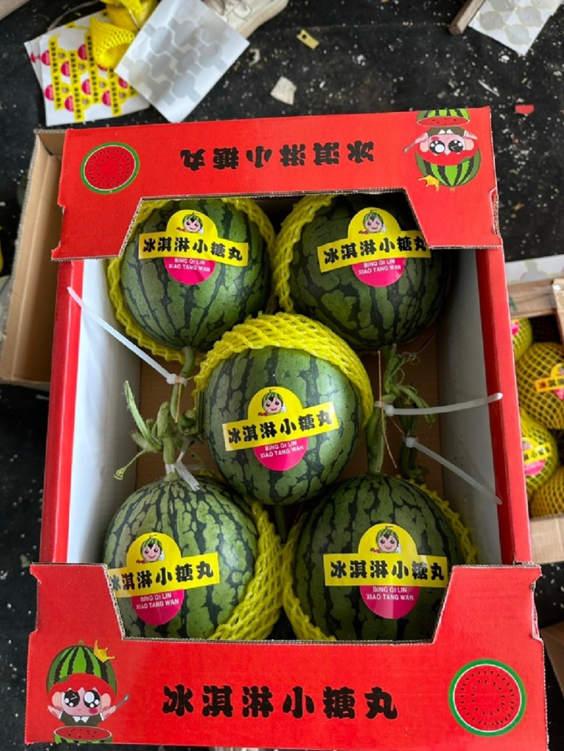 产地一手货源全美2k小糖丸冰激凌西瓜早春红玉新鲜现摘