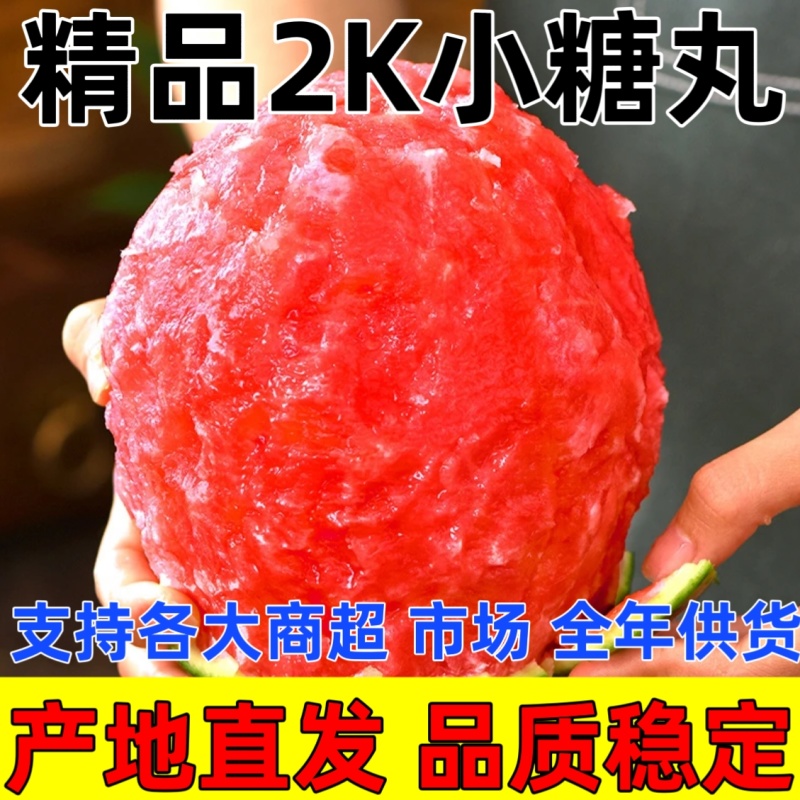 产地一手货源全美2k小糖丸冰激凌西瓜早春红玉新鲜现摘