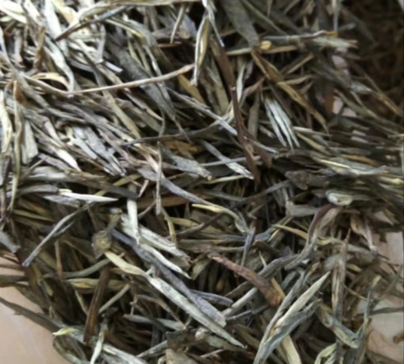 云南绿茶