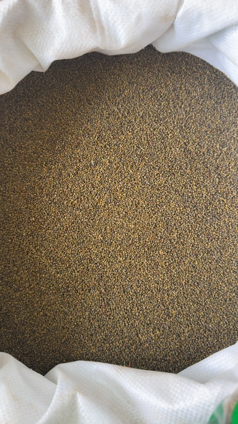 沙苑子，山东弘舜中药材批发零售，品种齐全，规格齐全……