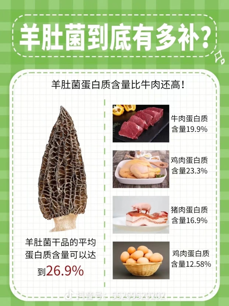 安徽羊肚菌原产地直销批发及零售