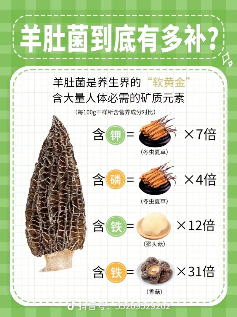 安徽羊肚菌原产地直销批发及零售