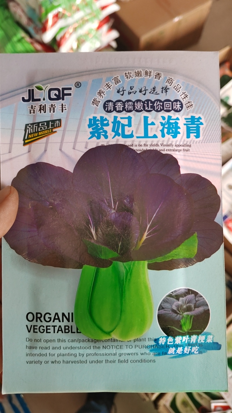 紫红青梗菜种子紫叶小青菜种子红色青梗菜种子