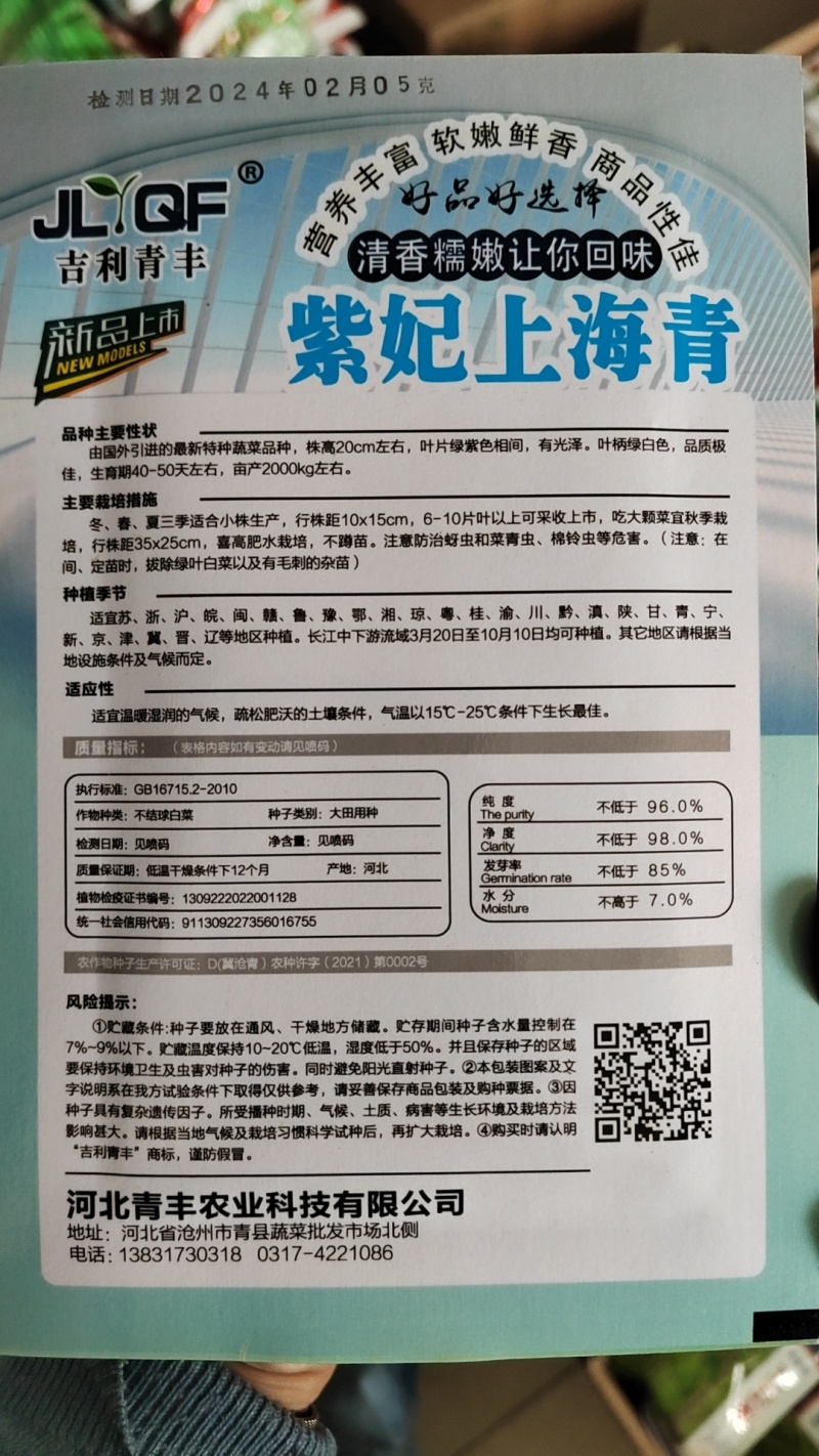 紫红青梗菜种子紫叶小青菜种子红色青梗菜种子